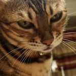 Joel Coffman - @36joel - Instagram