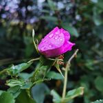 Joel.Comeau - @joel.comeau - Instagram