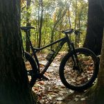 Joel Coon - @joelrcoon - Instagram