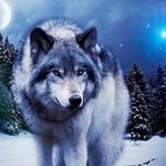 Joel Cornwell - @cornwelljoel - Instagram