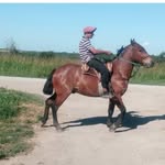 Joel Coronel - @coronel6349 - Instagram