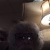 Joel Cotton - Facebook