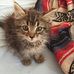 Joel Craddock - Facebook