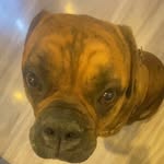 Joel Craddock - @justlost2322 - Instagram