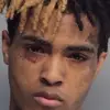Joe - @joel.darden - TikTok