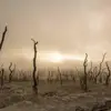 joeldonovan888 - @joeldonovan888 - TikTok