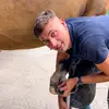 joeldownesfarriery - @joeldownesfarriery - TikTok