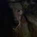 Joel Draper - Facebook
