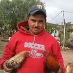 joel Duron Rosales - @joelduronrosales - Instagram