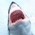 Joel - @joel_eby_epicgaming052 - Instagram