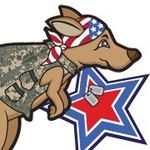 Joe Edenfield - @jumpingjoesinflatables - Instagram