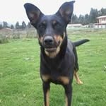 @joelederbarzolacastro - Instagram
