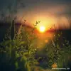 Joel Ely - @joel_elyy - TikTok