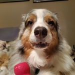 Joel Epperson - @marvinpu34 - Instagram