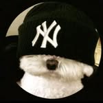 Joel Ortiz Euceda - @eucedajoelortiz - Instagram