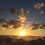 Joe Leverett - @joe_leverett03 - Instagram