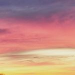 Joel Fields - @jbfields21 - Instagram