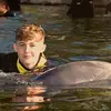 joelfoley123 - @joelfoley14 - TikTok