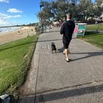 Joel Forrest - Facebook