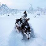 joel fortner - @joelfortner0.12 - Instagram