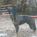 Joel Frederick - Facebook