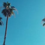 Joel Friedrich - @ozm93430 - Instagram