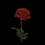 joel friend - @joel_._friend - Instagram