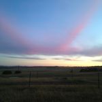 Joel.friend - @photography_joel_friend_ - Instagram