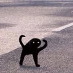 Joel frisk - @friskjoel - Instagram
