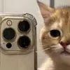 @malele0088 mi otra cuenta - @joelfrisksjsj - TikTok