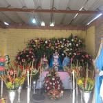Joel Galan - @joel.galan.9465 - Instagram