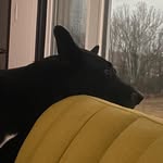 Joel Getz - @joey_getz71 - Instagram