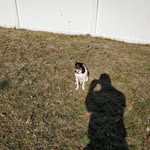 Joel Glicka - @joel.glicka - Instagram