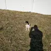 Joel Glicka - @joel.glicka - TikTok