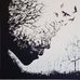 Joel Goddard - Facebook