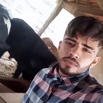 Joel Gomes - @joelgomes_o_vaquerinho_ - Instagram