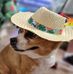 Joel Grainger - Facebook