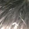 gregoriojoel22 - @gregoriojoel22 - TikTok