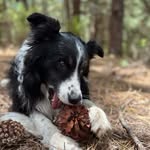 joelgume - @joelgume - Instagram