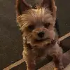 Joel Hammer - @joel.hammer7 - TikTok