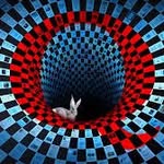 Joel Harder - @true_north_patriot - Instagram