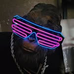 Joel Heard - @bugs2vr - Instagram