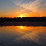Joel Helmecke - @joel.helmecke - Instagram