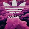 joelhoyle361 - @joelhoyle361 - TikTok