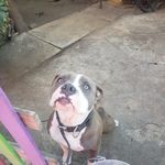 Huber Joel Zepeda Cañas - @huberjoelzepeda - Instagram