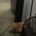 Huck Joel - Facebook