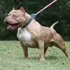 Joel Isais - @joel.isais0 - TikTok