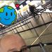 Joel Iverson - Facebook