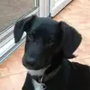 joeljahnke40 - @mausbiene_2000 - TikTok