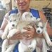 Joel Jaron - Facebook